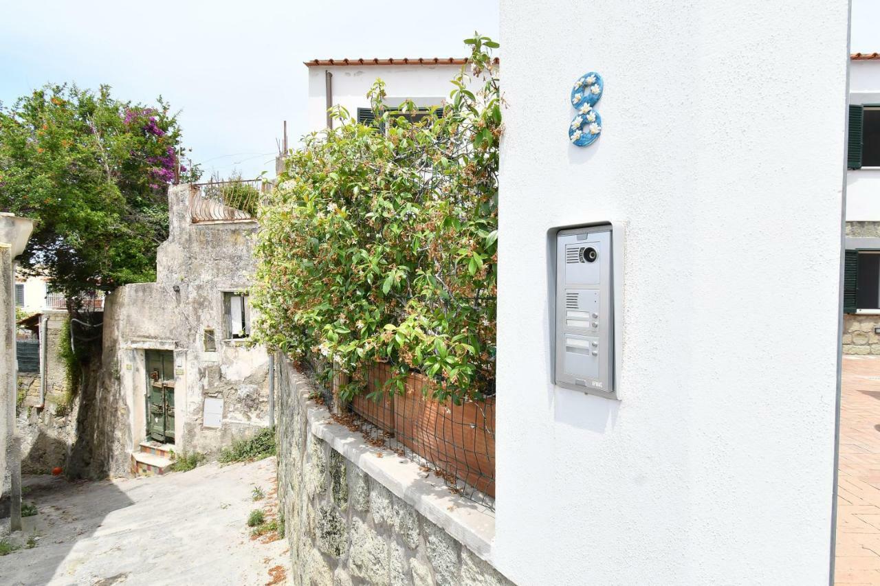 Villa Casa Partenope Forio di Ischia Exterior foto